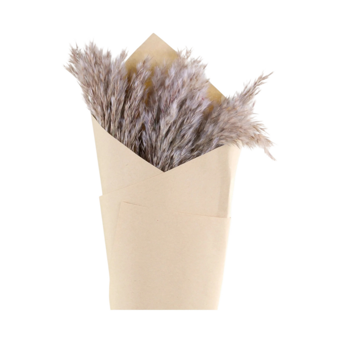 Chic Antique Pampasgras Fleur aus getrockneten Blumen in Creme