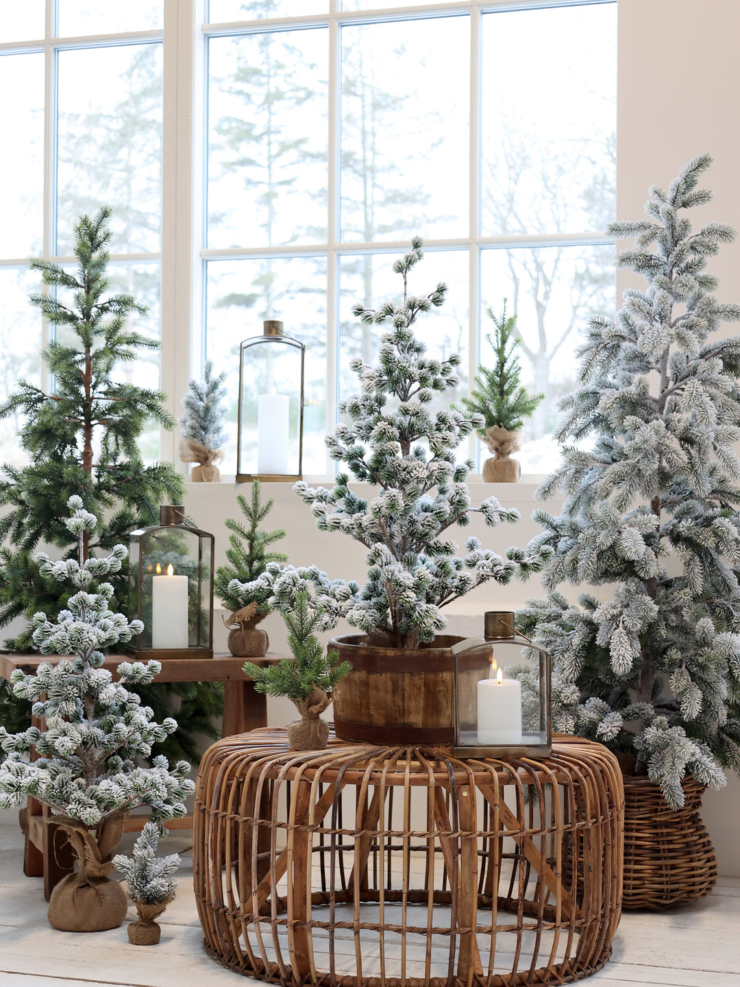Chic Antique Grimaud Holzwanne aus recyceltem Holz als rustikale Dekoschale im Landhausstil