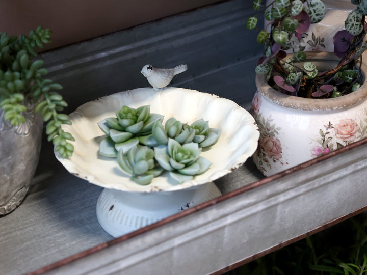 Chic Antique Vogelbad als dekorative Gartendeko