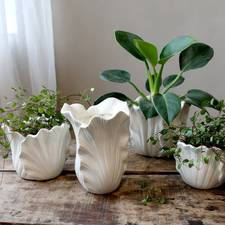Chic Antique Pflanztopf mit Blättermuster in Creme mit grünen Pflanzen dekoriert