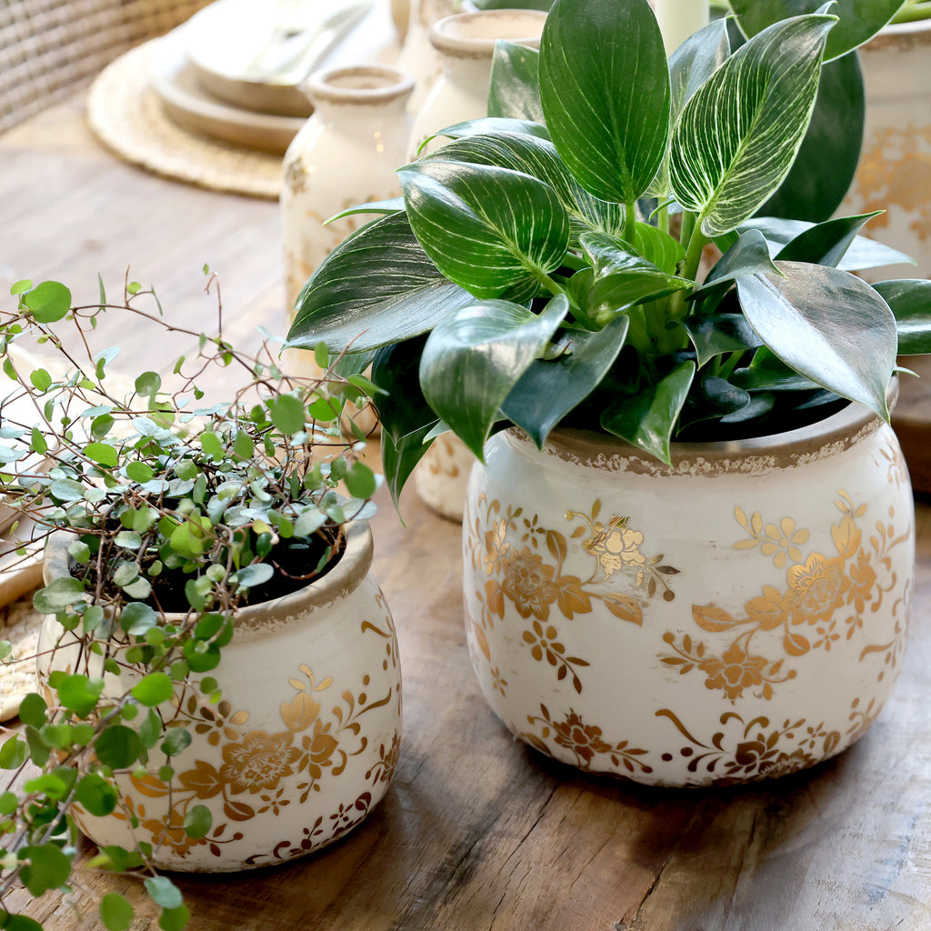 Anniversary Melun Übertopf