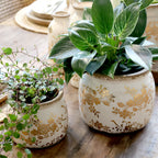 Anniversary Melun Übertopf