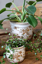 Anniversary Melun Übertopf