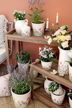 Chic Antique Avignon Kanne mit Blumenmotiv Shabby Chic