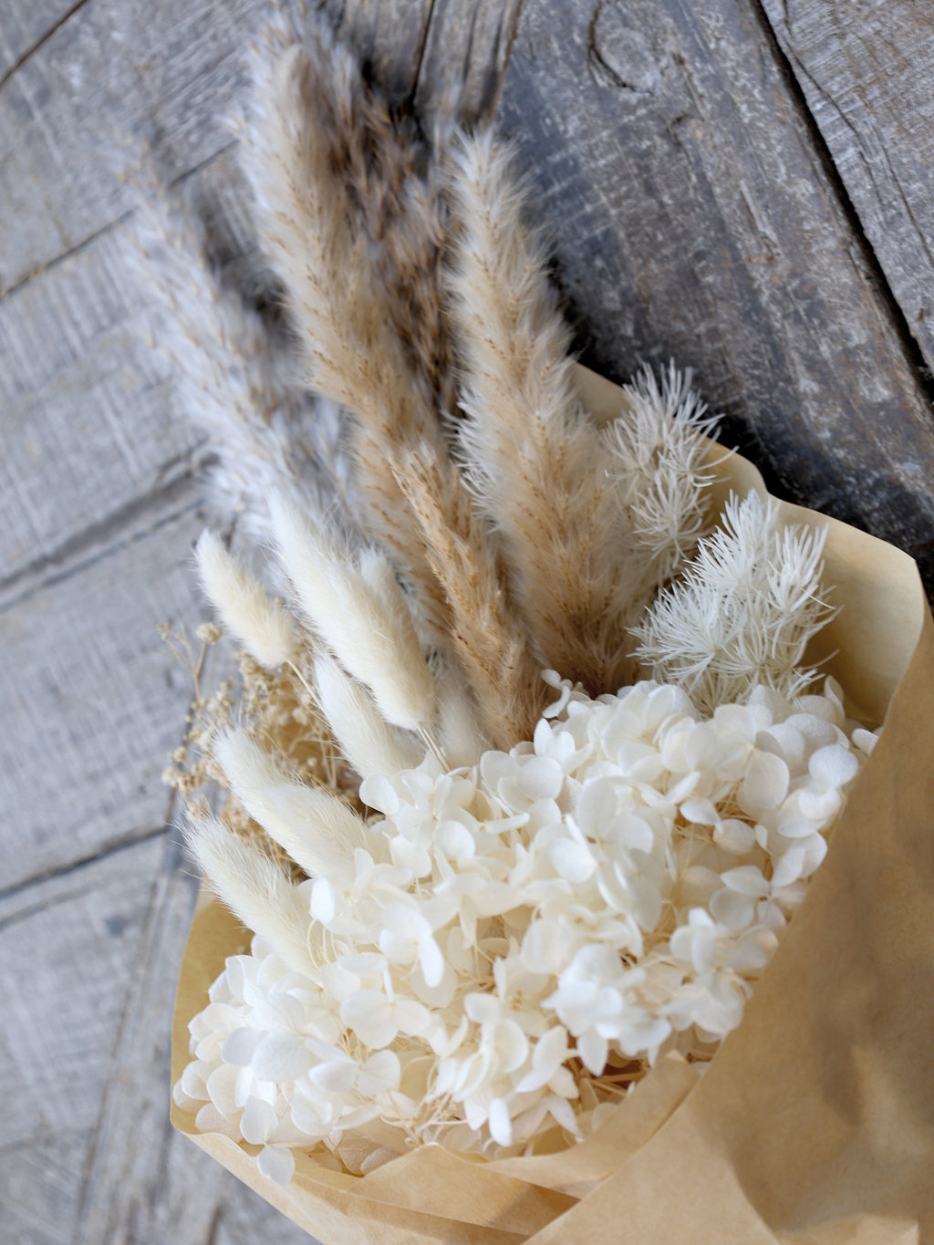 Fleur getrocknetes Pampagrass