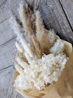 Fleur getrocknetes Pampagrass