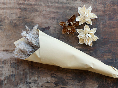 Fleur getrocknetes Pampagrass