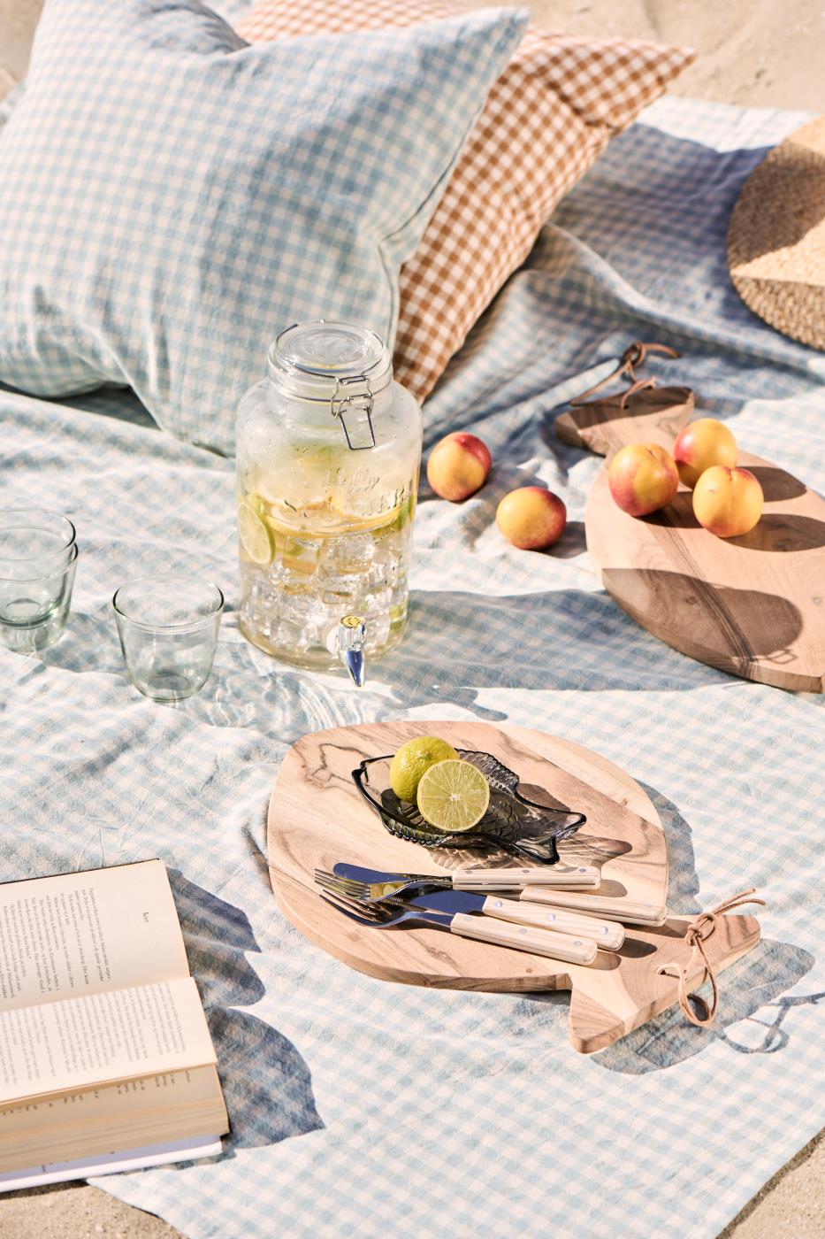 Kissenbezug Viggo hellblau mit kleinen naturfarbigen Karos