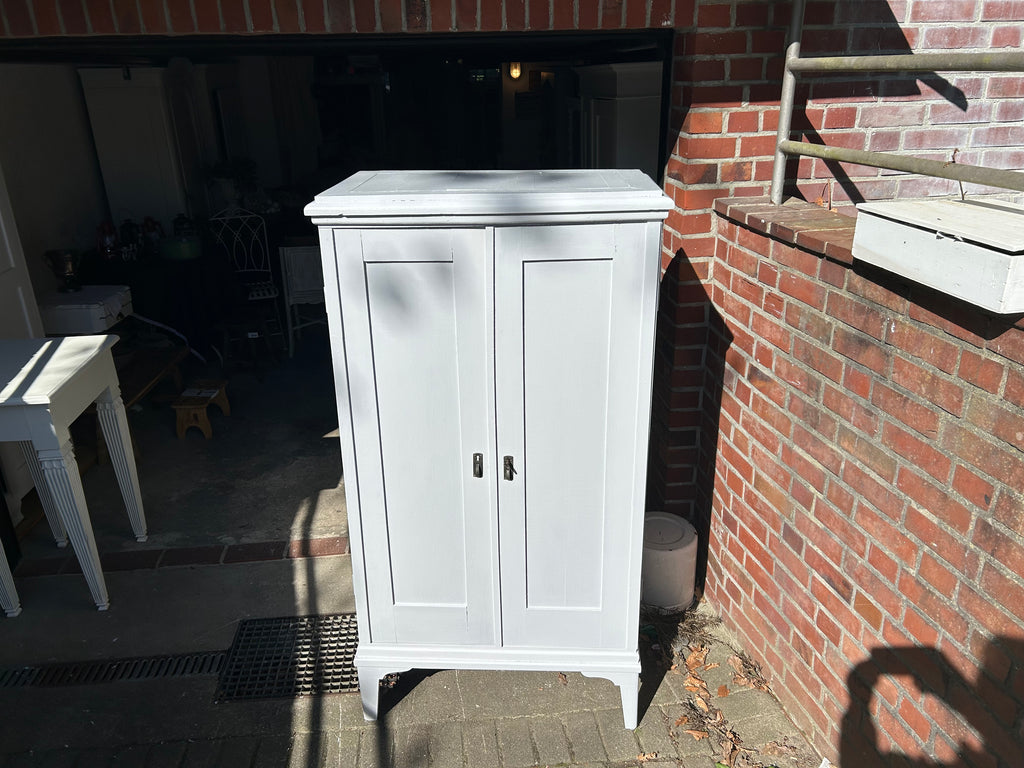 Antiker Schrank, hellgrau, Mooreiche