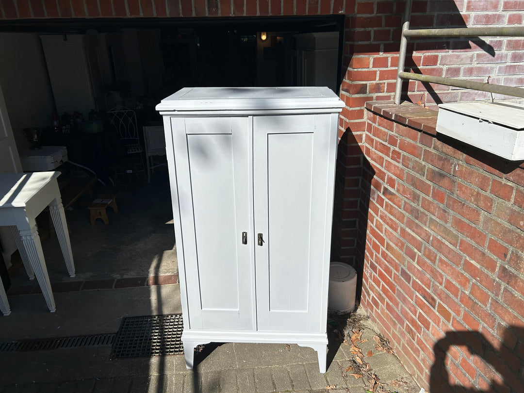 Antiker Schrank, hellgrau, Mooreiche