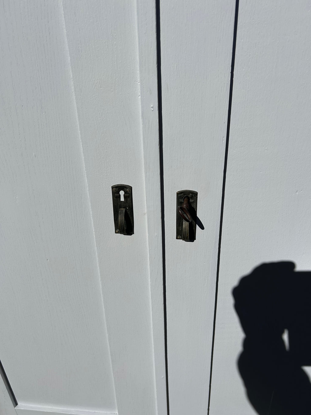 Antiker Schrank, hellgrau, Mooreiche