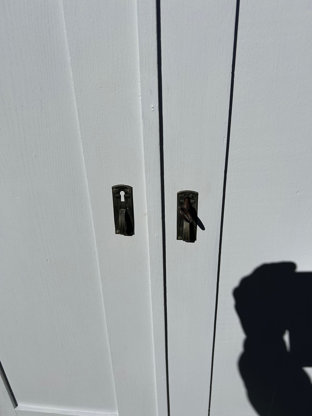 Antiker Schrank, hellgrau, Mooreiche