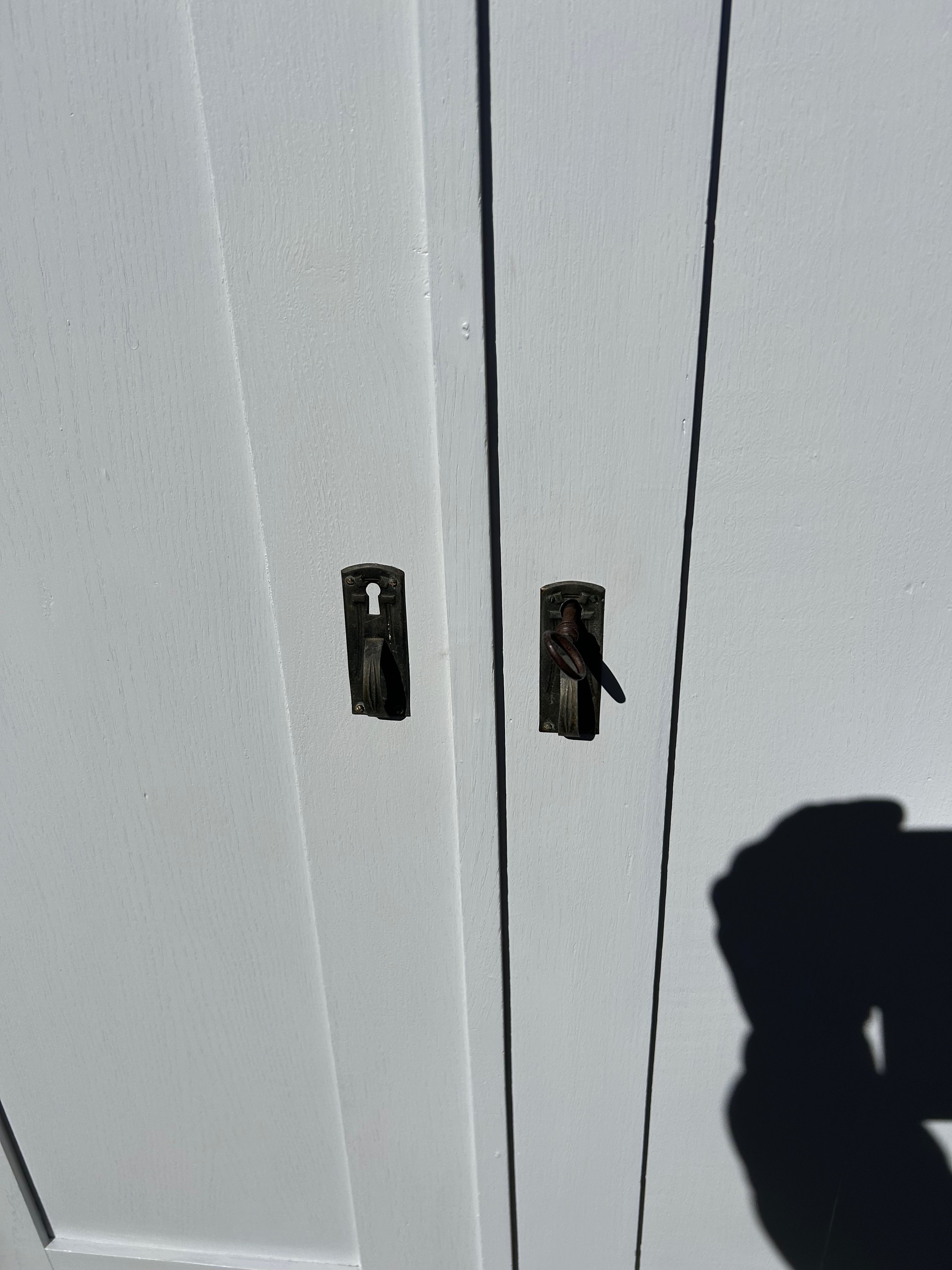 Antiker Schrank, hellgrau, Mooreiche