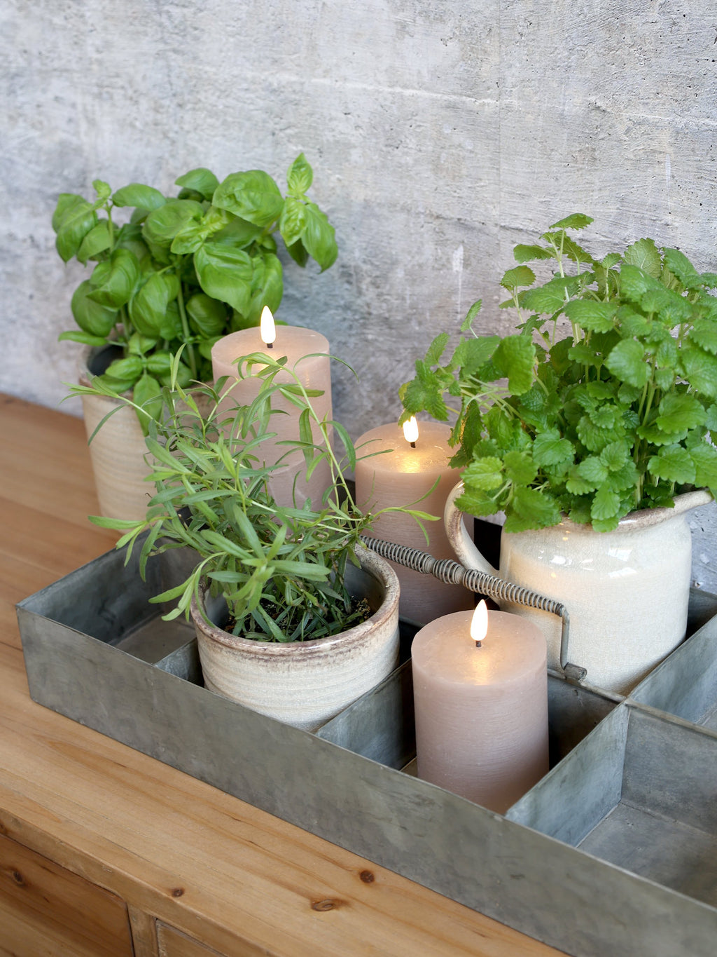 Tablett mit 8 Fächern und Handgriff