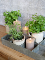 Tablett mit 8 Fächern und Handgriff