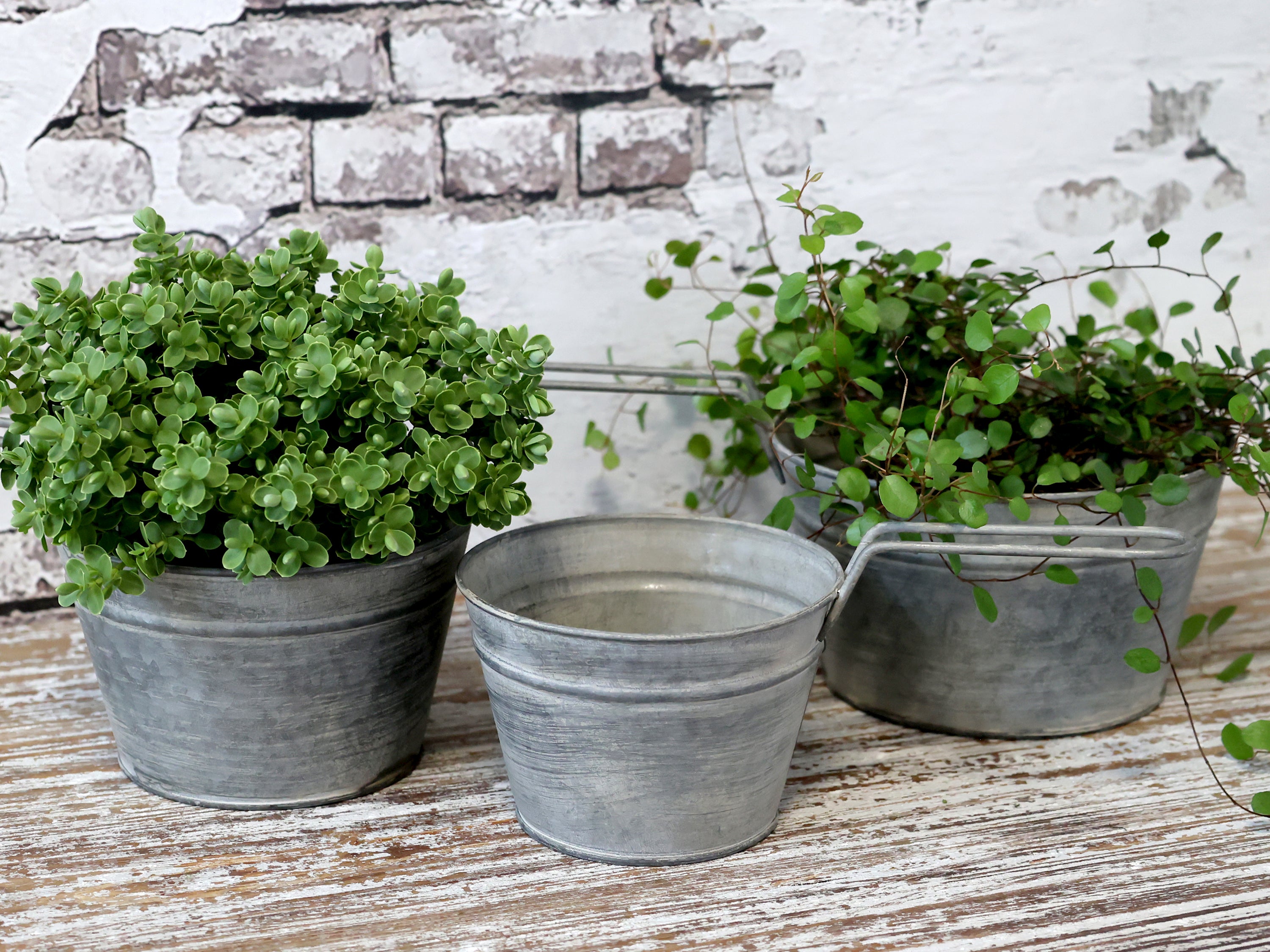 Blumentöpfe mit Griff 3er Set