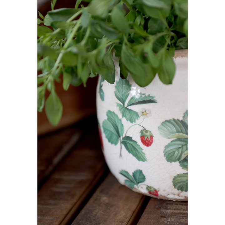 Chic Antique Fraises Übertopf aus Keramik mit Erdbeermotiv und grüner Pflanze im Detail