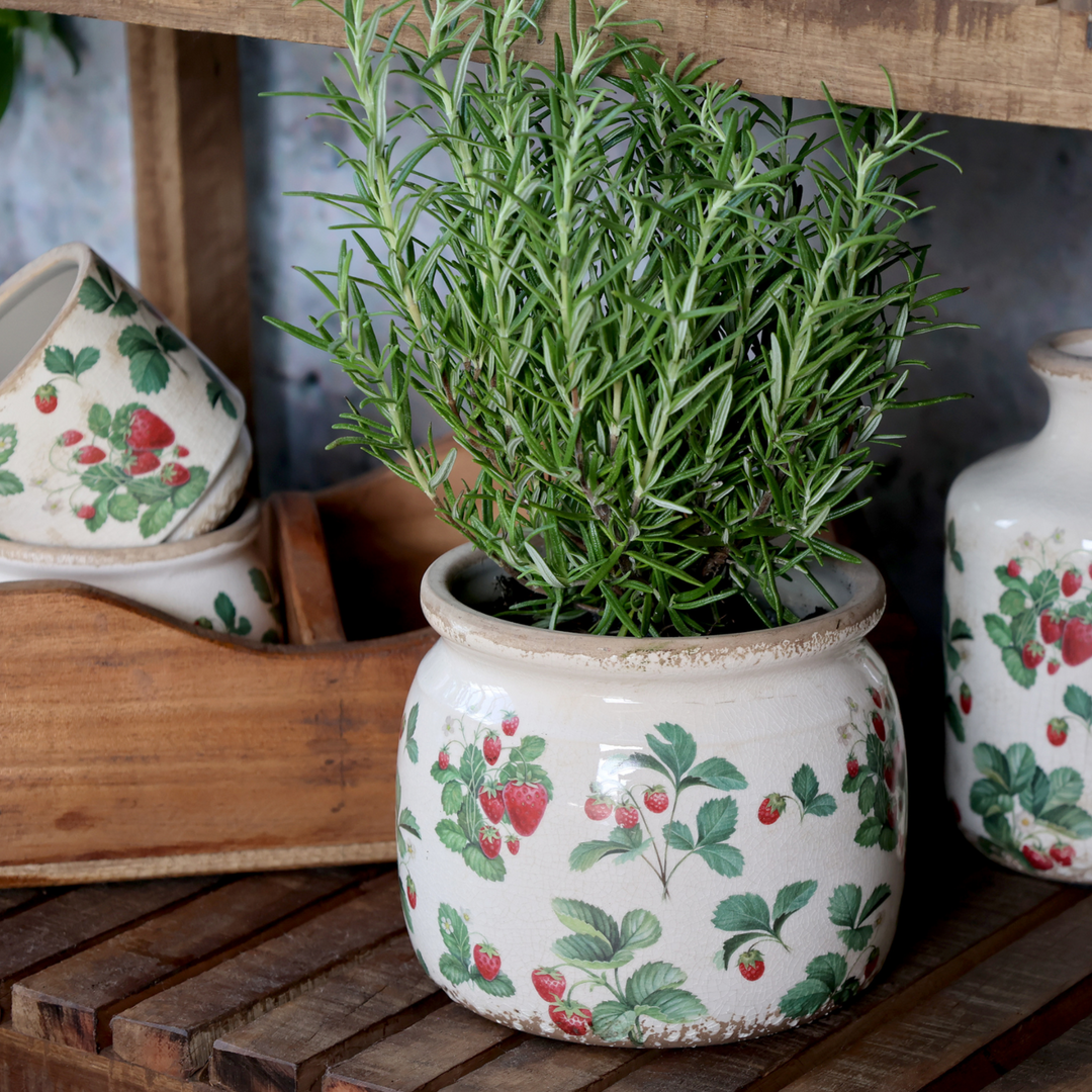 Chic Antique Fraises Übertopf mit Erdbeermuster bepflanzt mit Kräutern im skandinavischen Landhausstil