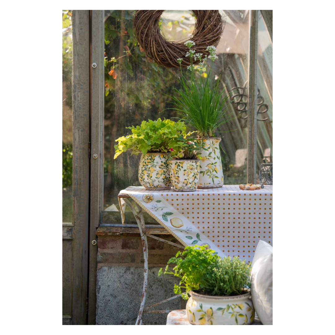 Clayre & Eef Blumentopf mit Zitronenmotiv im Gewächshaus mit Pflanzen im Landhausstil Detailaufnahme